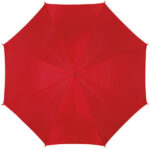 Automatic Umbrella With Plastic Handle