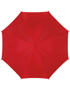 Automatic Umbrella With Plastic Handle