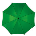 Automatic Umbrella With Wooden Handle