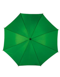 Automatic Umbrella With Wooden Handle