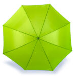 Automatic Umbrella With Wooden Handle
