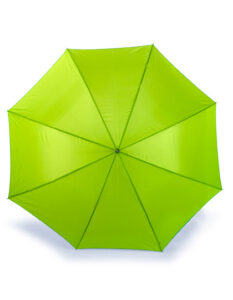 Automatic Umbrella With Wooden Handle