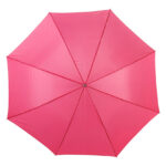 Automatic Umbrella With Wooden Handle