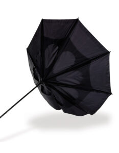 Umbrella Sheffield