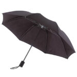 Pocket Umbrella