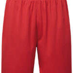 Unisex TriDri® Ion-Charge performance shorts