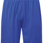 Unisex TriDri® Ion-Charge performance shorts