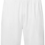 Unisex TriDri® Ion-Charge performance shorts