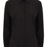 Ladies´ Wicking Long Sleeve Shirt