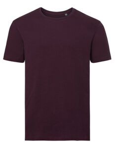 Men`s Pure Organic T