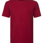 Men`s Pure Organic T