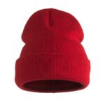 ST2608 – Beastie Beanie