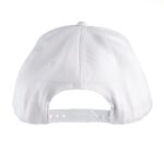 ST2610 – Clay Cap