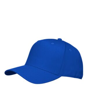 ST2618 – Player cap
