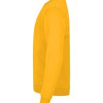 Miami Roundneck