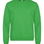 Miami Roundneck