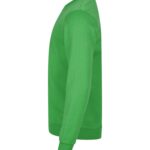 Miami Roundneck