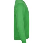 Miami Roundneck