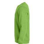 Basic Roundneck