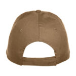 Texas Cap