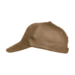 Texas Cap