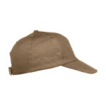 Texas Cap