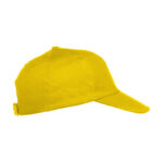 Texas Cap