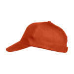 Texas Cap