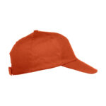 Texas Cap