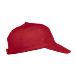 Texas Cap