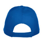 Texas Cap