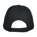 Texas Cap