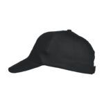 Texas Cap