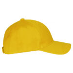 Classic Cap