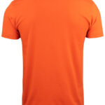 Basic-T V-neck