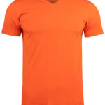 Basic-T V-neck