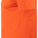 Basic-T V-neck