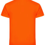 Basic Active-T
