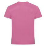 Basic Active-T