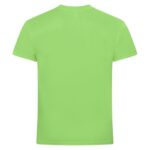 Basic Active-T
