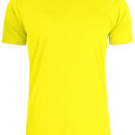Basic Active-T