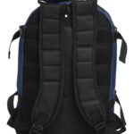 Backpack II