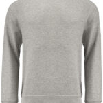 Raglan Sweatshirt Junior