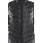 Lt  down vest M