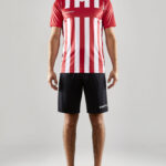 Progress 2.0 Stripe Jersey M