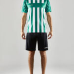 Progress 2.0 Stripe Jersey M