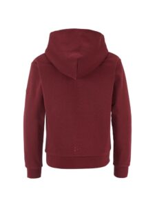 Community 2.0 Hoodie Jr