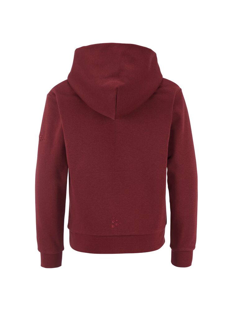 Community 2.0 Hoodie Jr
