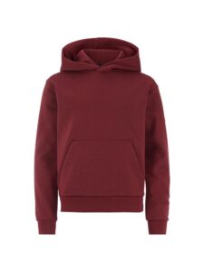Community 2.0 Hoodie Jr