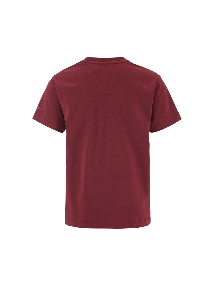 Community 2.0 Tee Jr